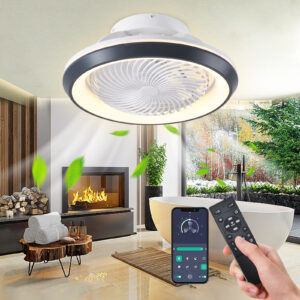 Modern 360° Rotating Ceiling Fan with Lighting and Remote Control App (Black)